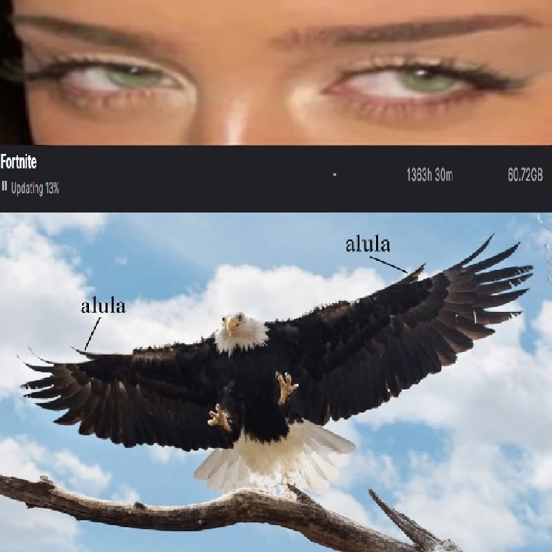 1 (53)